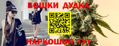 шишки Северобайкальск
