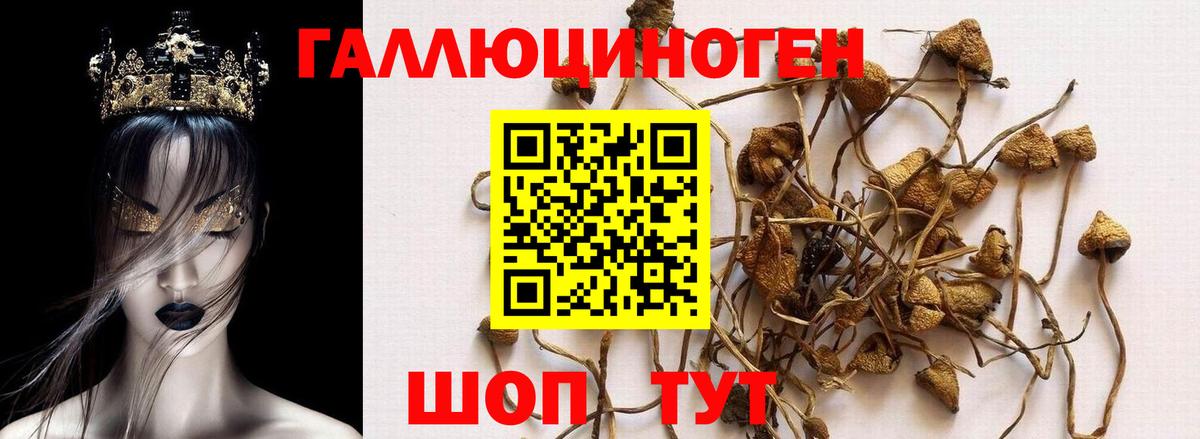 Галлюциногенные грибы GOLDEN TEACHER Мытищи