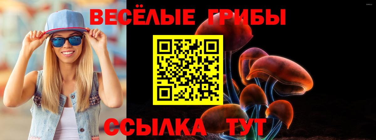 купить наркотики цена  Галлюциногенные грибы Magic Shrooms  Вход с VPN  Мытищи 